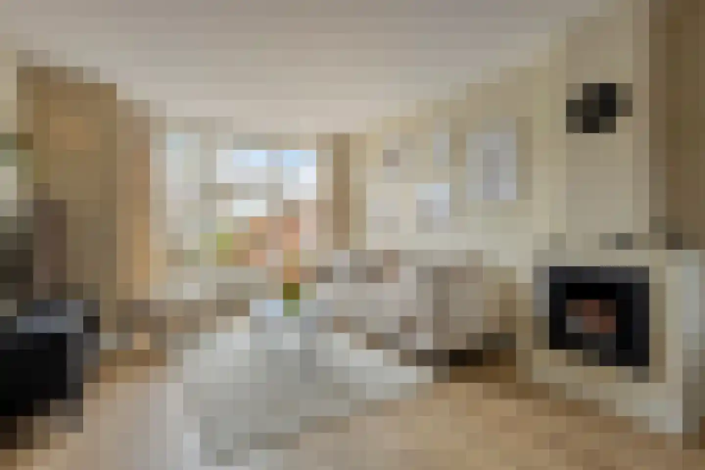 Eerste Groenelaan 54 Castricum thumbnail 4