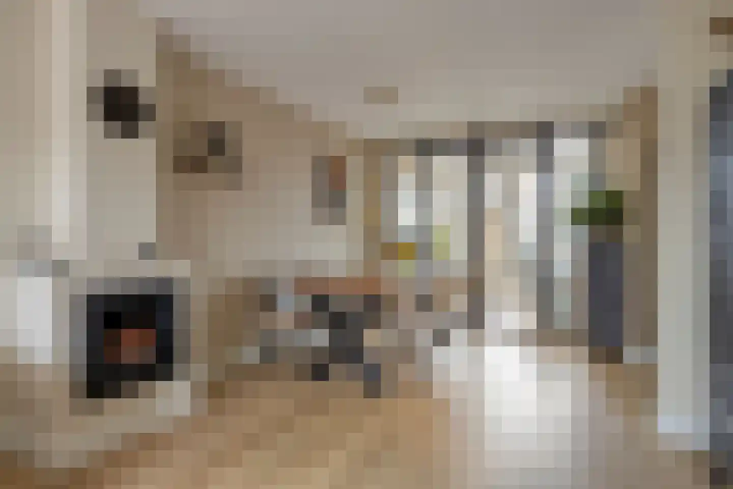 Eerste Groenelaan 54 Castricum thumbnail 5