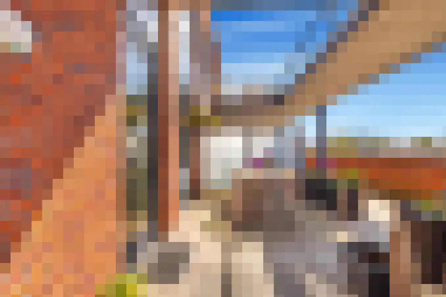Eerste Groenelaan 90 Castricum thumbnail 33