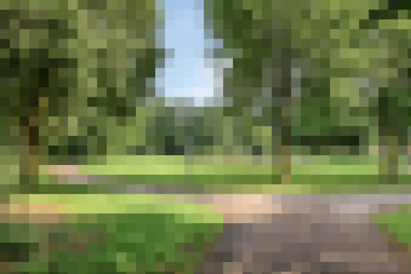 Eerste Hambaken 119 's-Hertogenbosch thumbnail 36