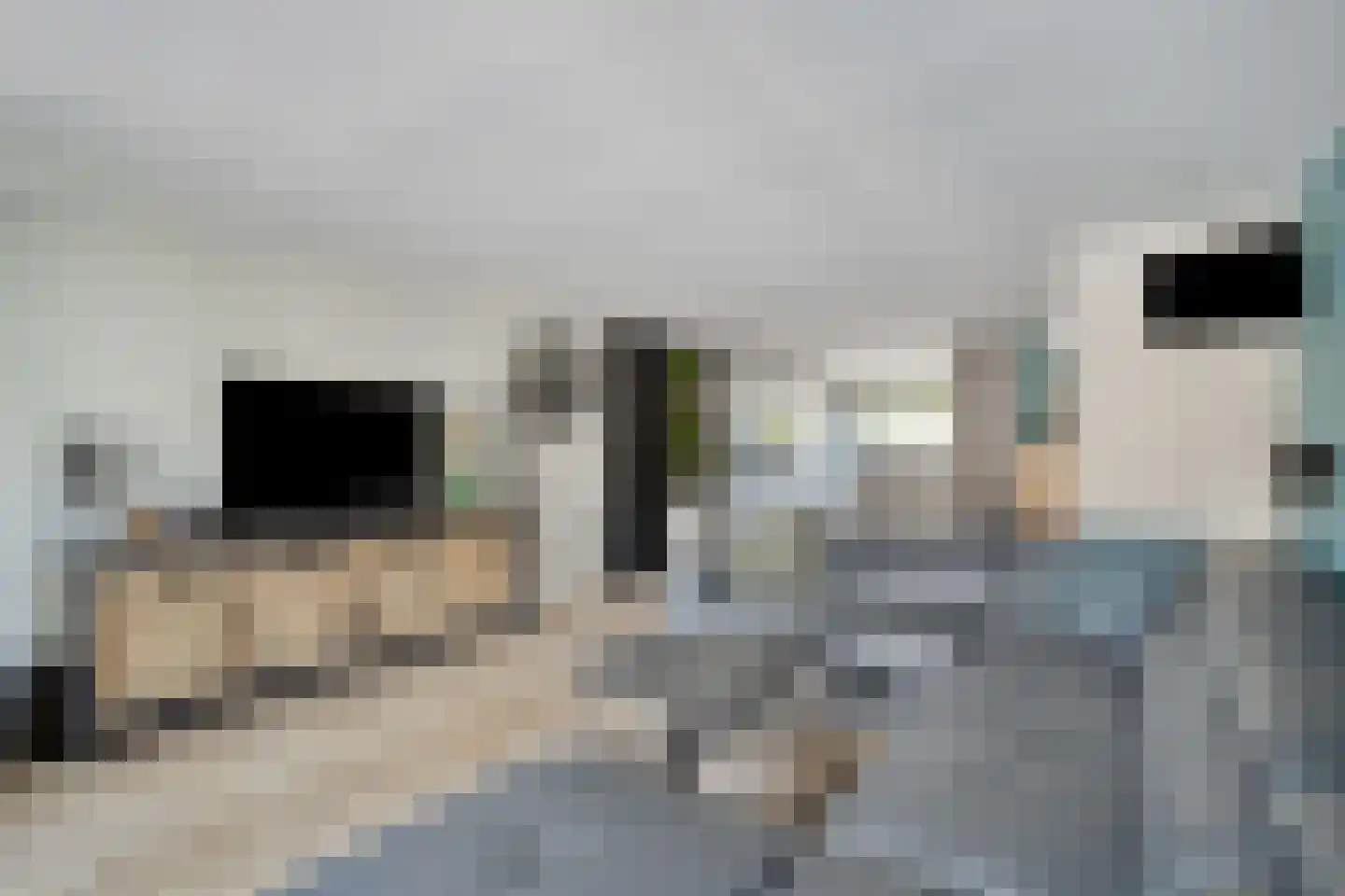 Eerste Hambaken 119 's-Hertogenbosch thumbnail 4