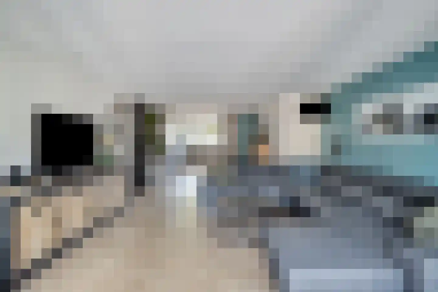 Eerste Hambaken 119 's-Hertogenbosch thumbnail 5