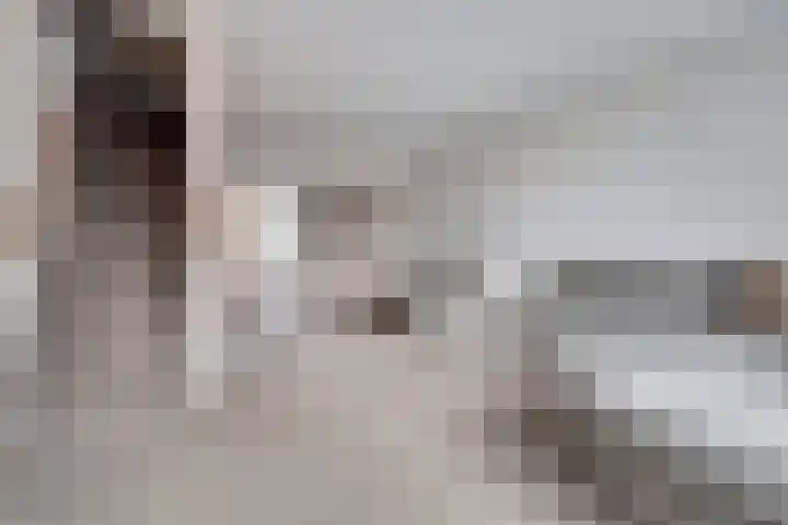 Eerste Hambaken 121 's-Hertogenbosch thumbnail 11