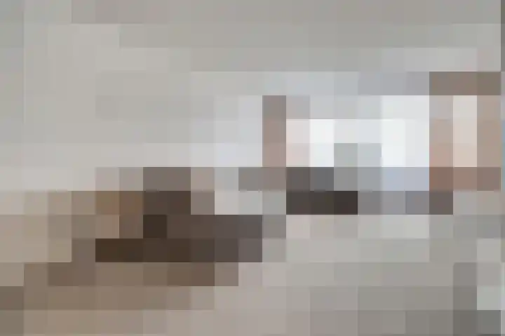 Eerste Hambaken 121 's-Hertogenbosch thumbnail 12