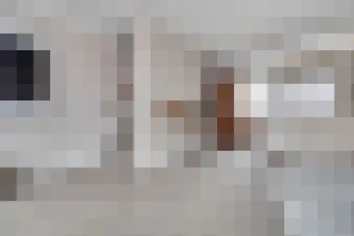 Eerste Hambaken 121 's-Hertogenbosch thumbnail 13