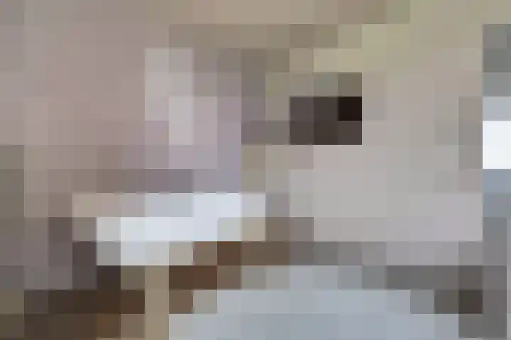 Eerste Hambaken 121 's-Hertogenbosch thumbnail 17