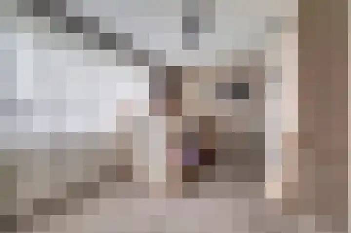 Eerste Hambaken 121 's-Hertogenbosch thumbnail 20