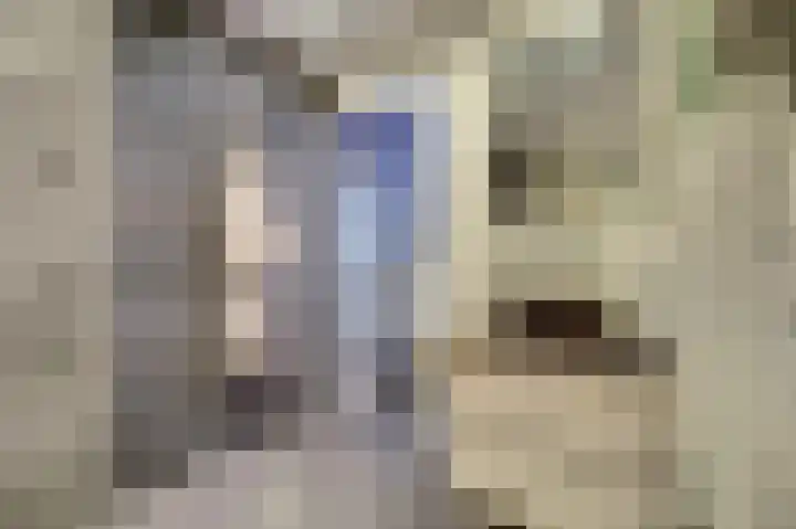 Eerste Hambaken 121 's-Hertogenbosch thumbnail 25