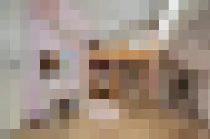 Eerste Hambaken 121 's-Hertogenbosch thumbnail 34