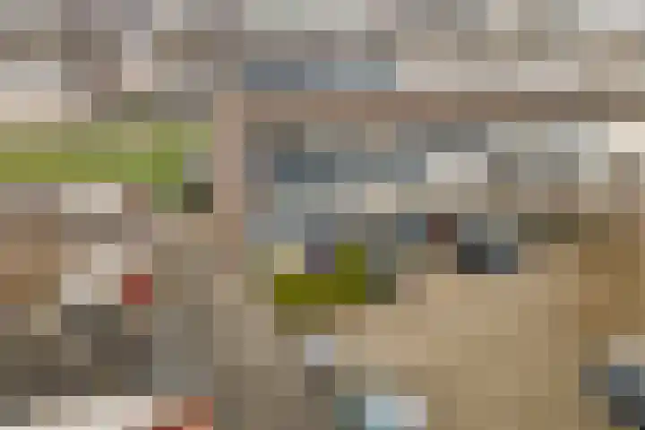 Eerste Hambaken 121 's-Hertogenbosch thumbnail 35