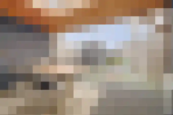 Eerste Hambaken 121 's-Hertogenbosch thumbnail 36