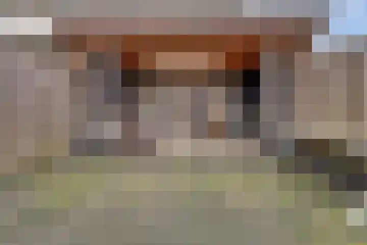 Eerste Hambaken 121 's-Hertogenbosch thumbnail 37