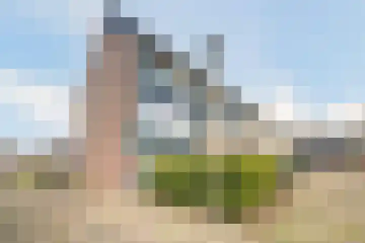 Eerste Hambaken 121 's-Hertogenbosch thumbnail 38