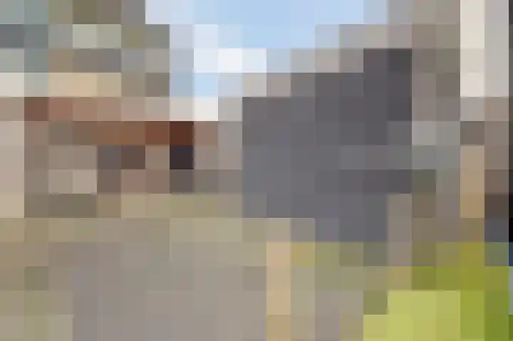 Eerste Hambaken 121 's-Hertogenbosch thumbnail 40