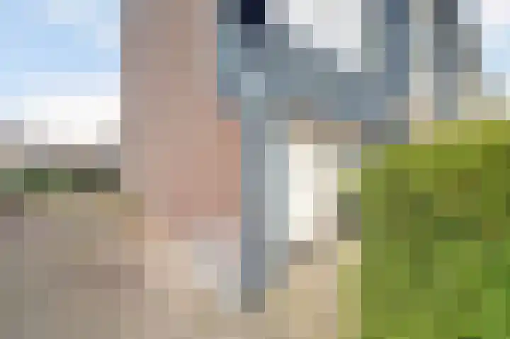 Eerste Hambaken 121 's-Hertogenbosch thumbnail 41