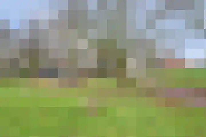 Eerste Hambaken 121 's-Hertogenbosch thumbnail 42