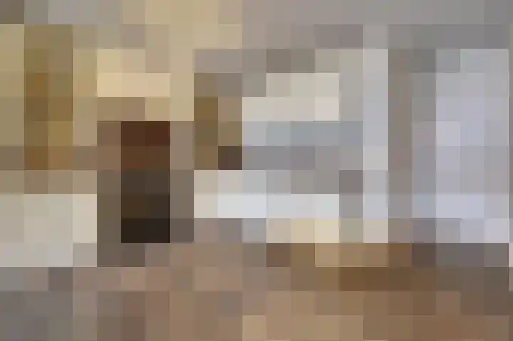 Eerste Hambaken 121 's-Hertogenbosch thumbnail 9