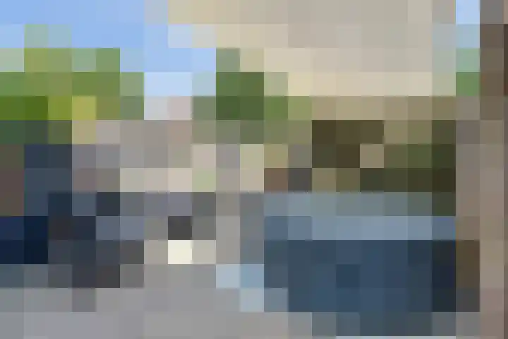Eerste Haren 40 's-Hertogenbosch thumbnail 30