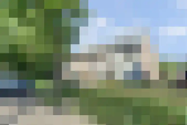 Eerste Haren 40 's-Hertogenbosch thumbnail 34