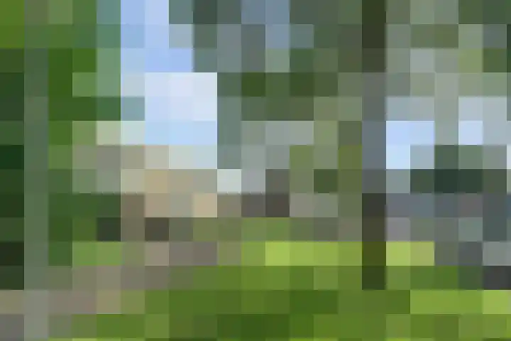Eerste Haren 40 's-Hertogenbosch thumbnail 37