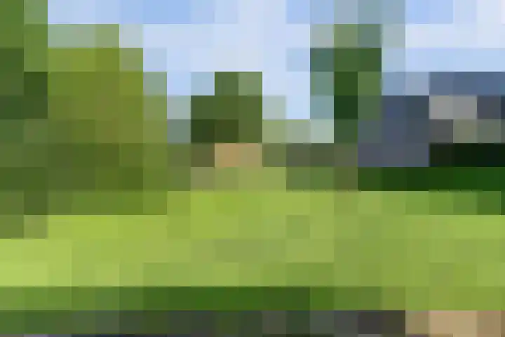 Eerste Haren 40 's-Hertogenbosch thumbnail 38