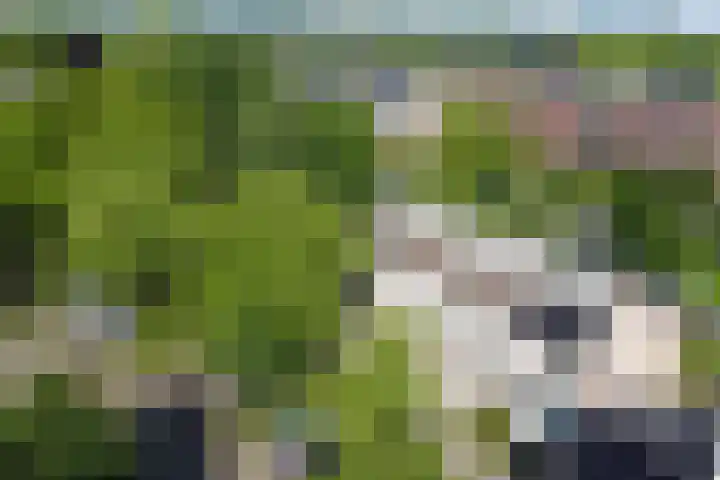 Eerste Haren 40 's-Hertogenbosch thumbnail 39