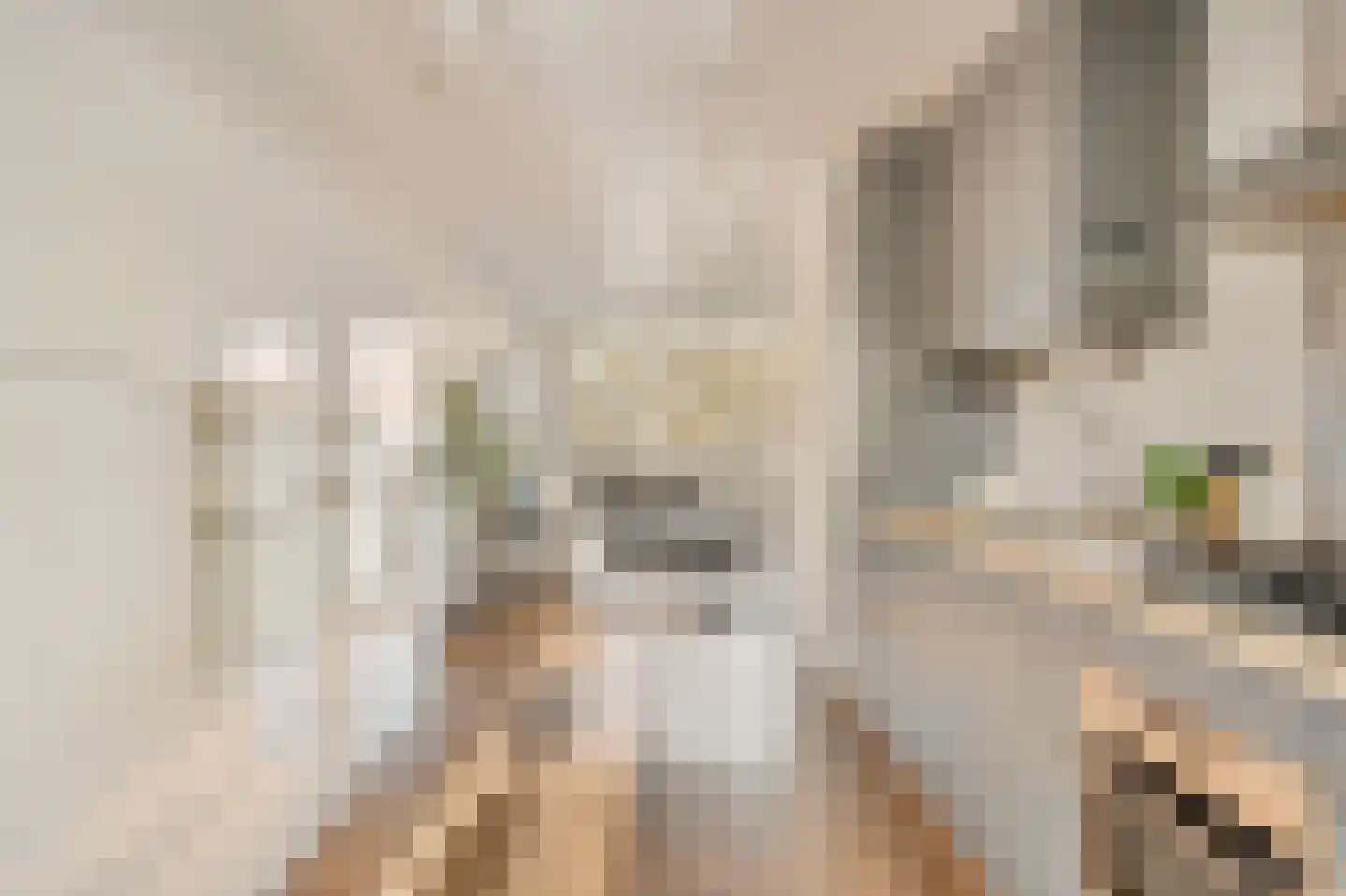 Eerste Helmersstraat 100 C Amsterdam thumbnail 15