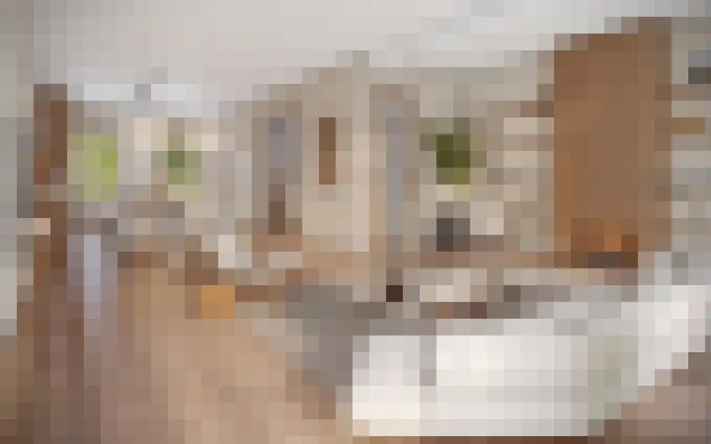 Eerste Helmersstraat 107 1 Amsterdam thumbnail 10