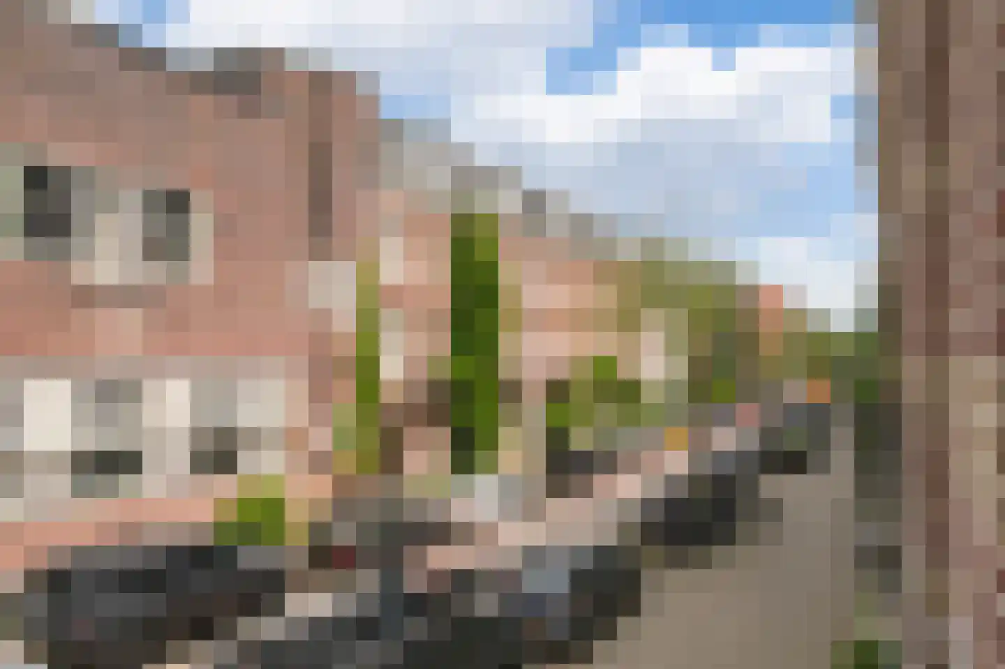 Eerste Helmersstraat 107 1 Amsterdam thumbnail 33