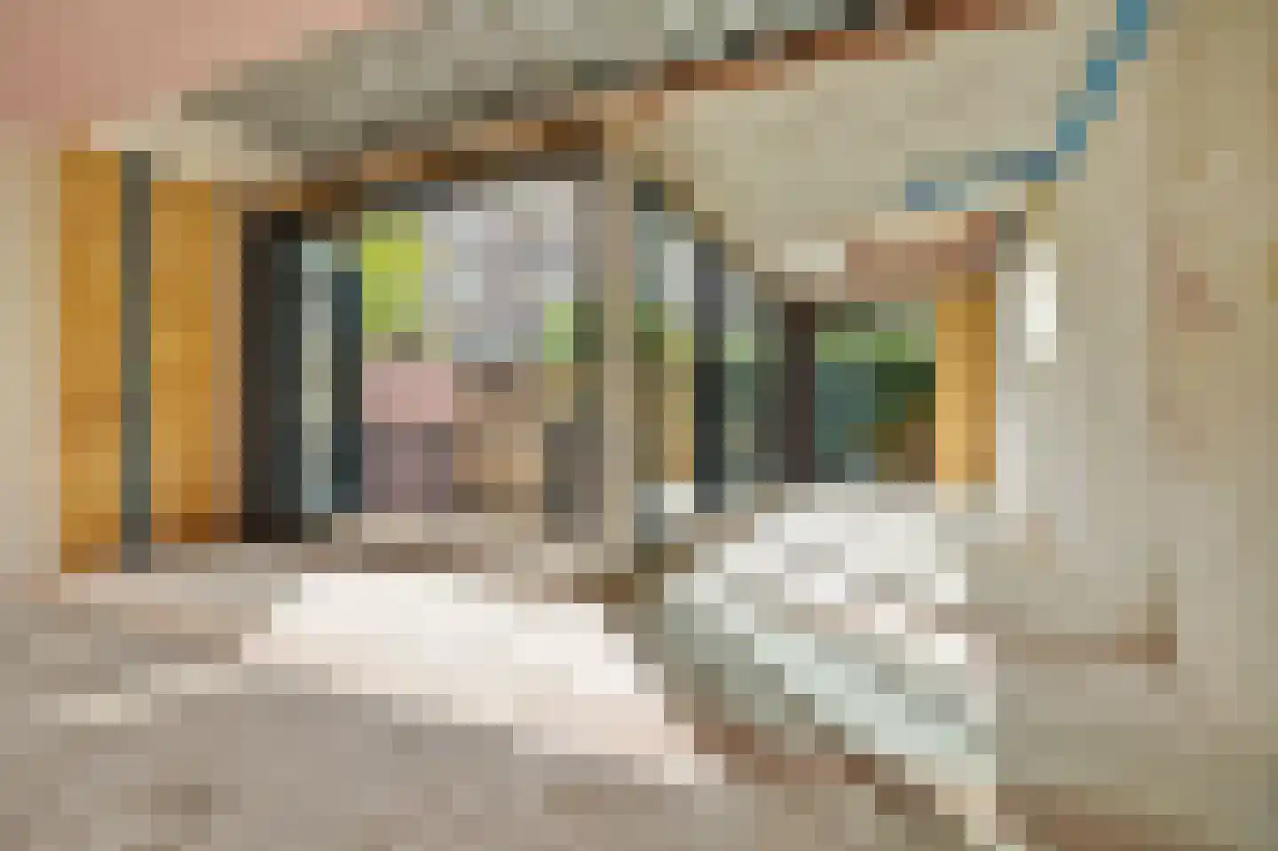 Eerste Helmersstraat 107 H Amsterdam thumbnail 11