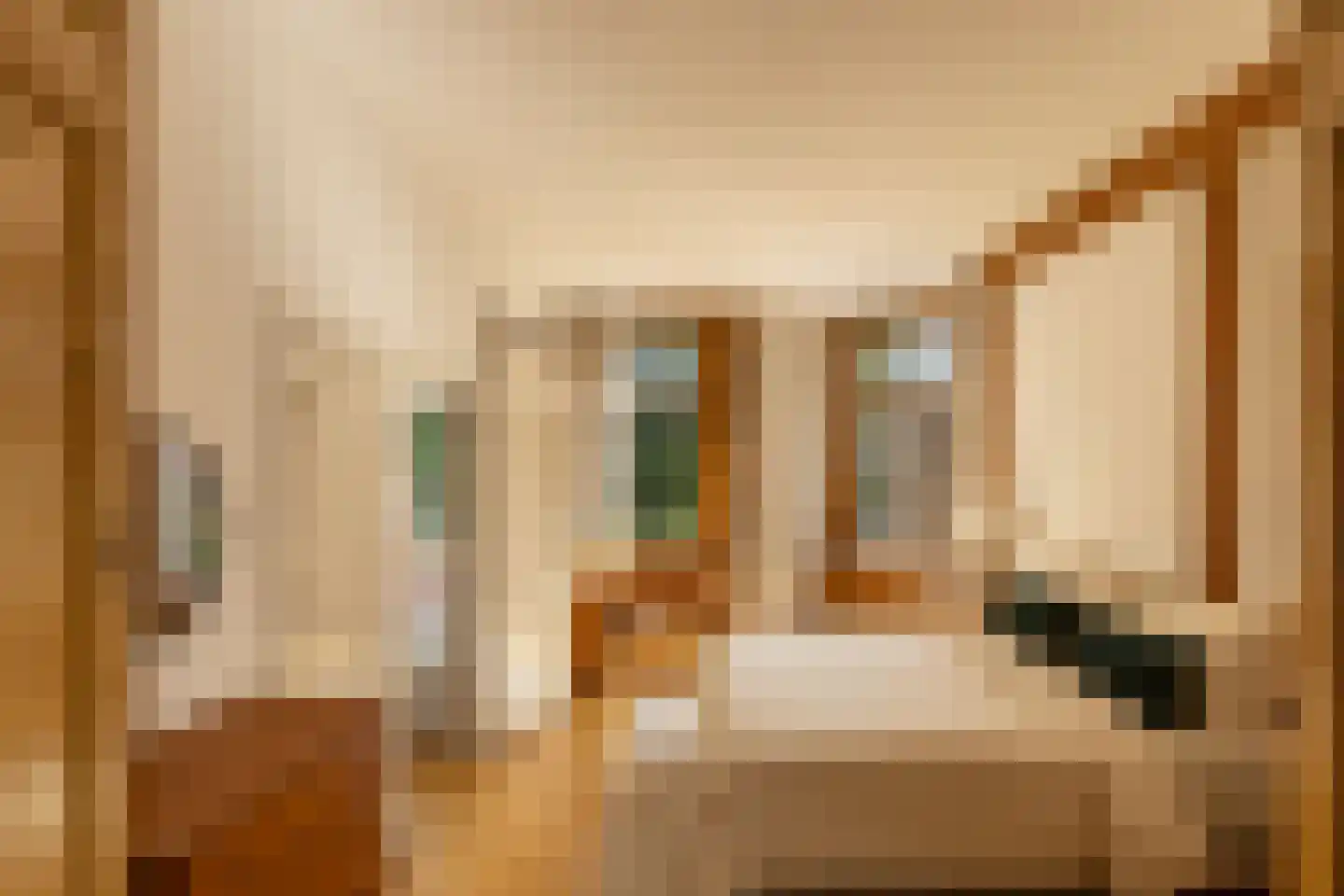 Eerste Helmersstraat 108 1 Amsterdam thumbnail 15
