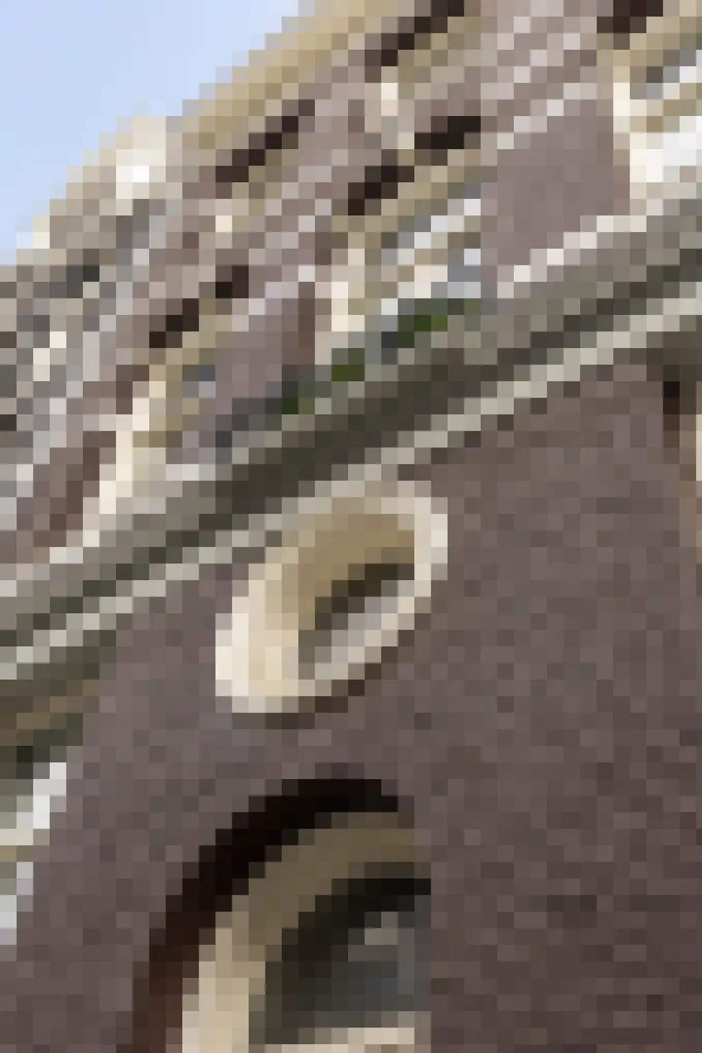 Eerste Helmersstraat 108 1 Amsterdam thumbnail 5