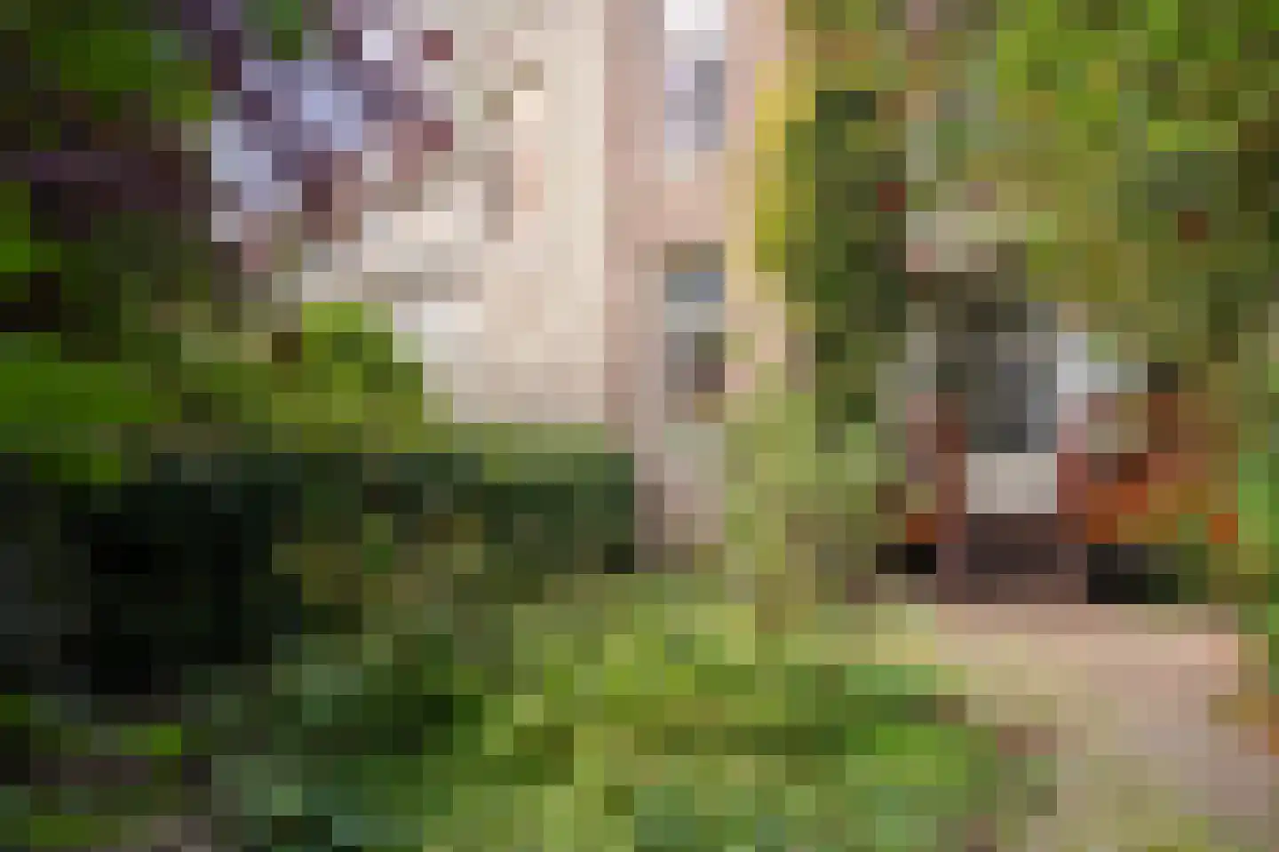 Eerste Helmersstraat 119 H Amsterdam thumbnail 13