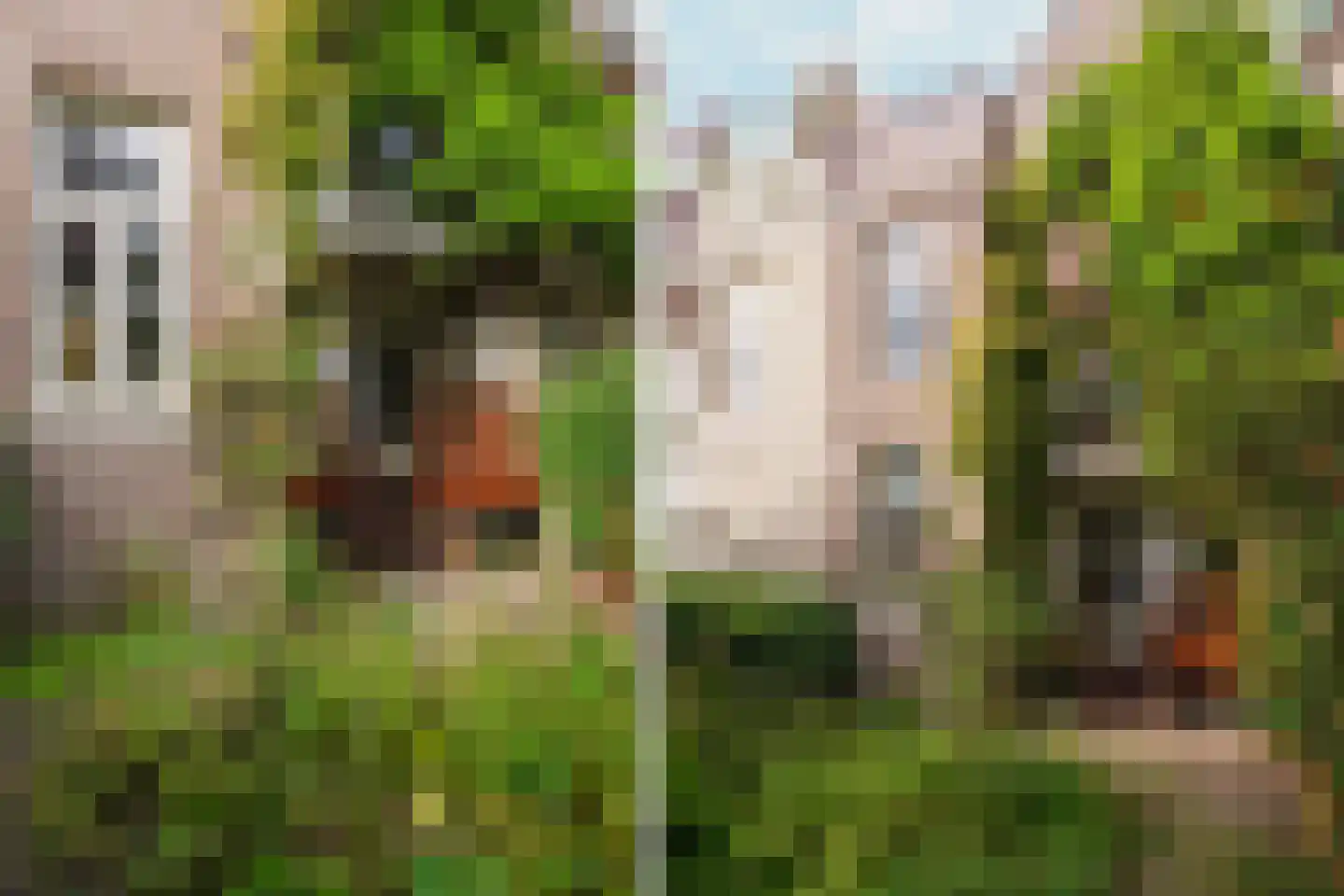 Eerste Helmersstraat 119 H Amsterdam thumbnail 14
