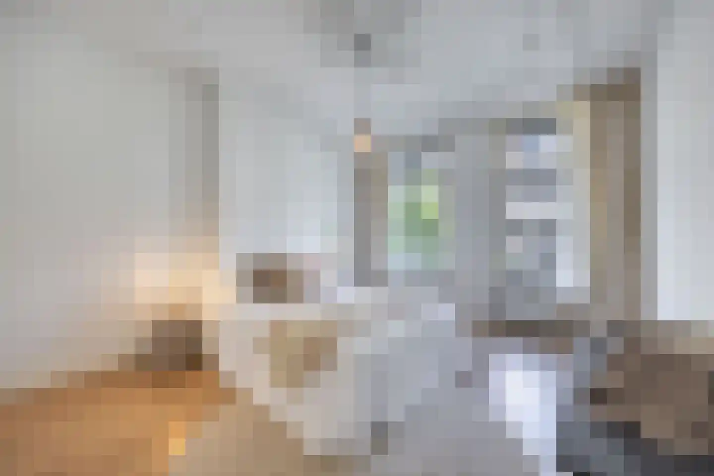 Eerste Helmersstraat 126 1 Amsterdam thumbnail 13