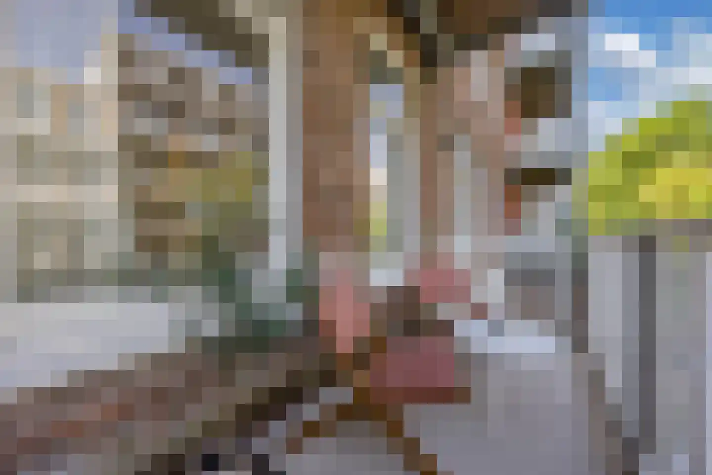 Eerste Helmersstraat 126 1 Amsterdam thumbnail 19