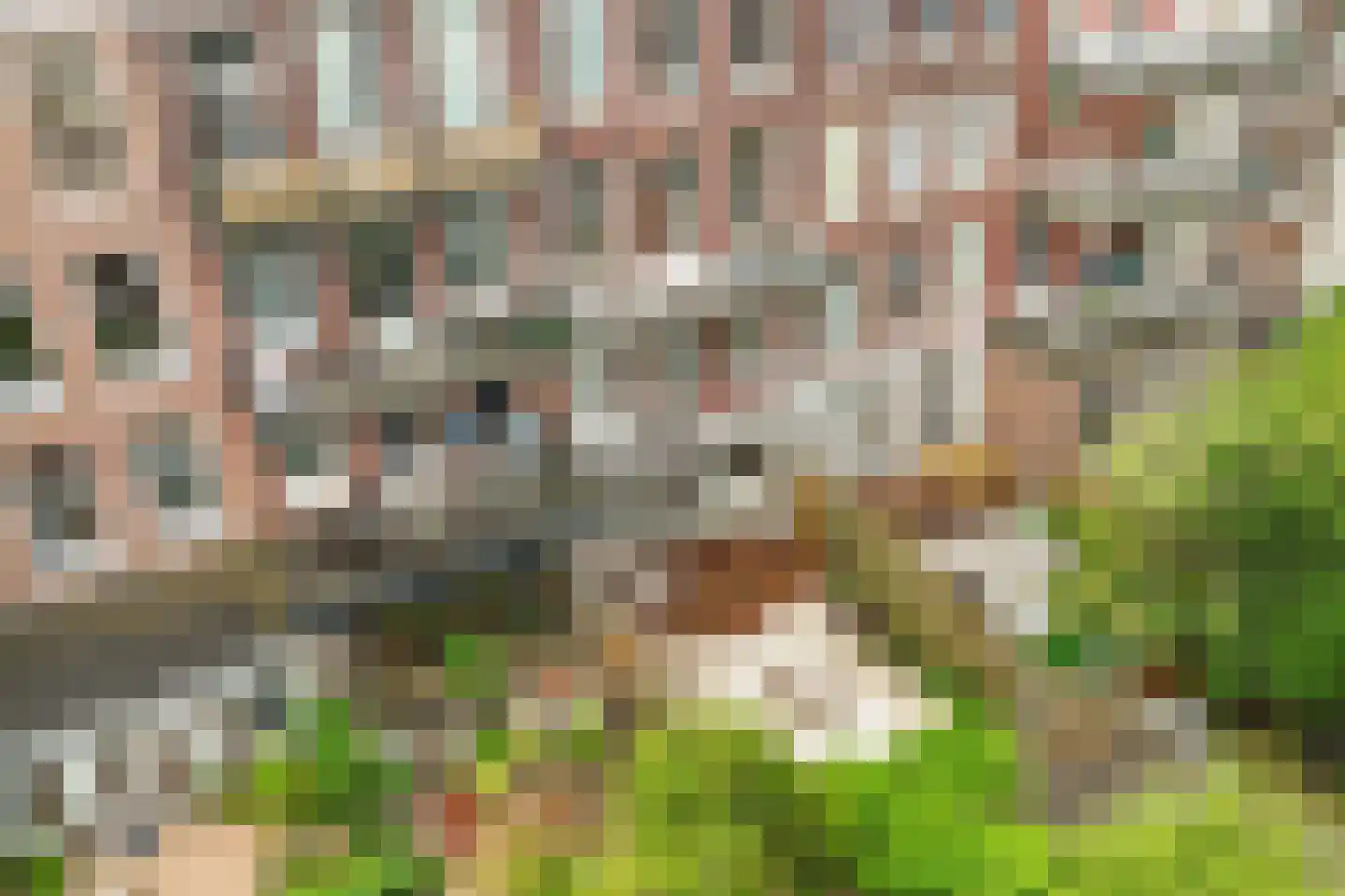 Eerste Helmersstraat 126 1 Amsterdam thumbnail 22