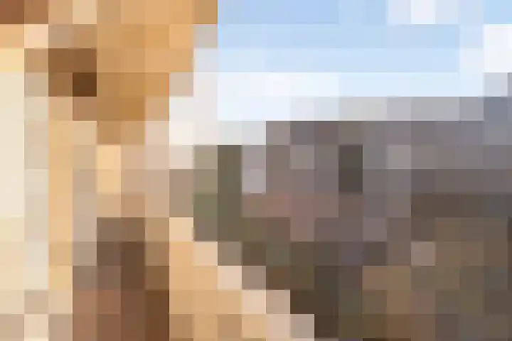 Eerste Helmersstraat 131 1 Amsterdam thumbnail 35