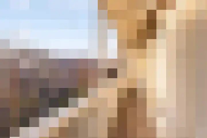 Eerste Helmersstraat 131 1 Amsterdam thumbnail 36