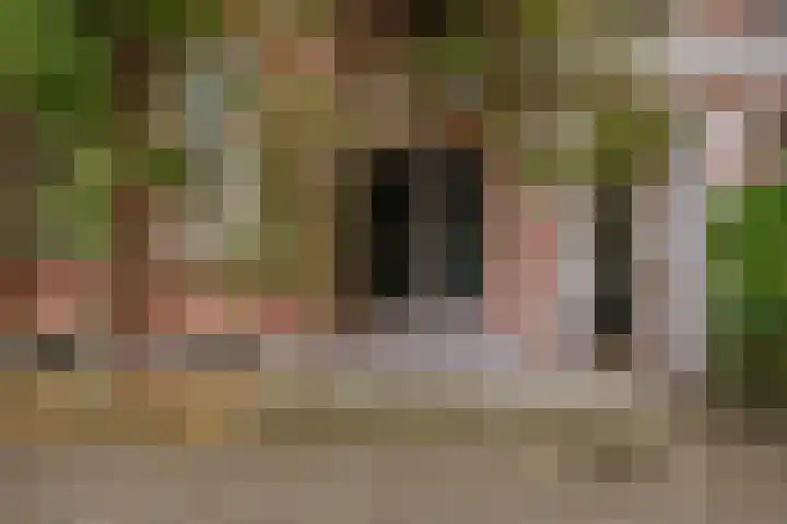 Eerste Helmersstraat 131 1 Amsterdam thumbnail 63