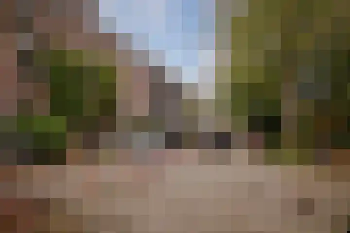Eerste Helmersstraat 131 1 Amsterdam thumbnail 64