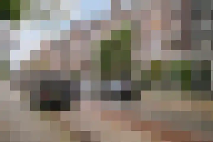 Eerste Helmersstraat 131 1 Amsterdam thumbnail 65