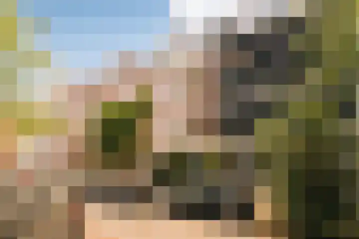 Eerste Helmersstraat 133 2 Amsterdam thumbnail 33