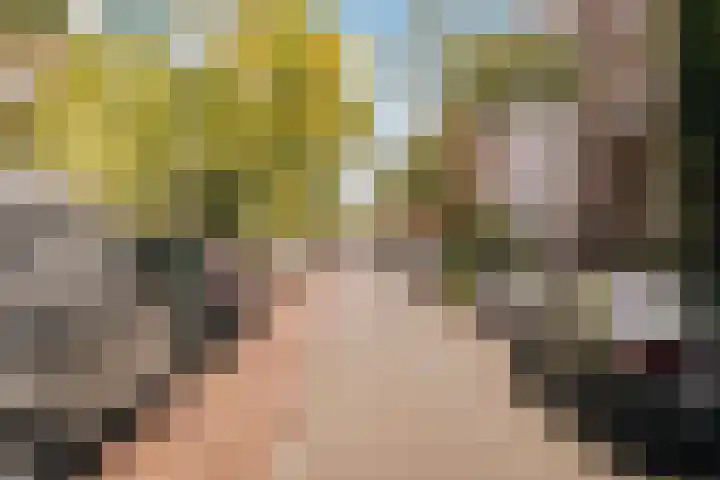Eerste Helmersstraat 133 2 Amsterdam thumbnail 36