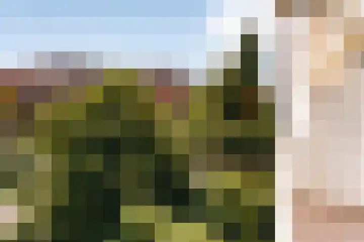Eerste Helmersstraat 133 2 Amsterdam thumbnail 9