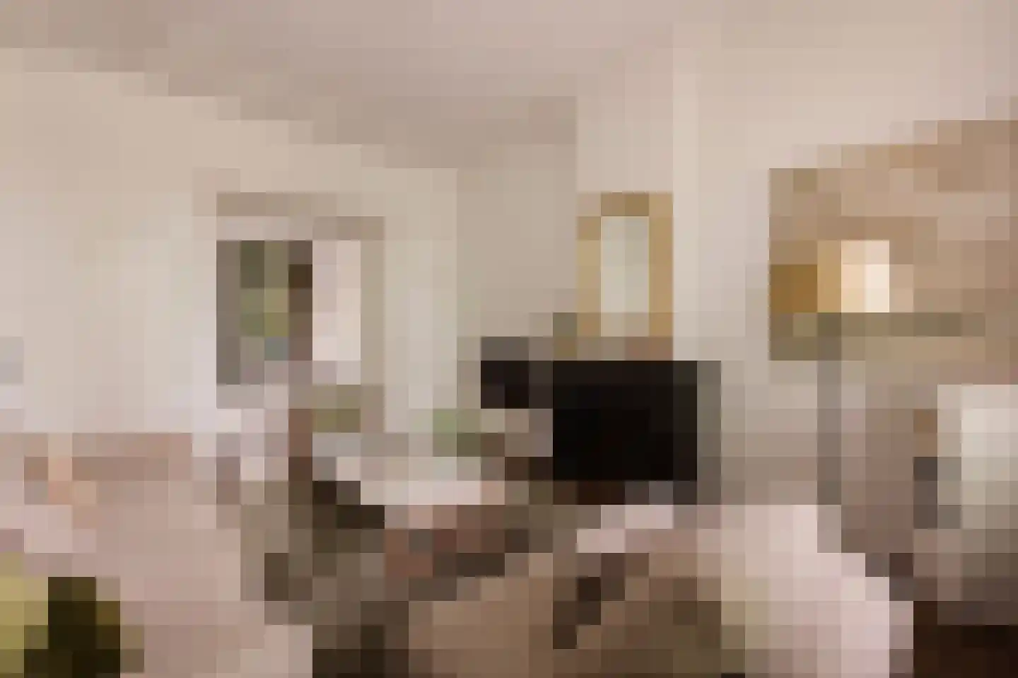 Eerste Helmersstraat 143 H Amsterdam thumbnail 11