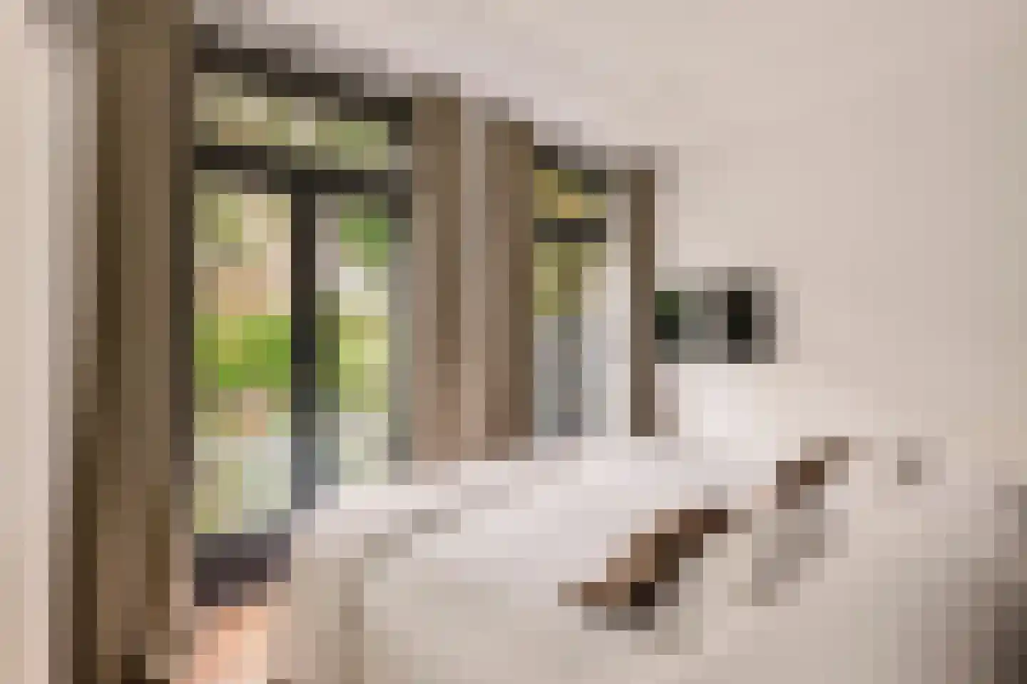 Eerste Helmersstraat 143 H Amsterdam thumbnail 35