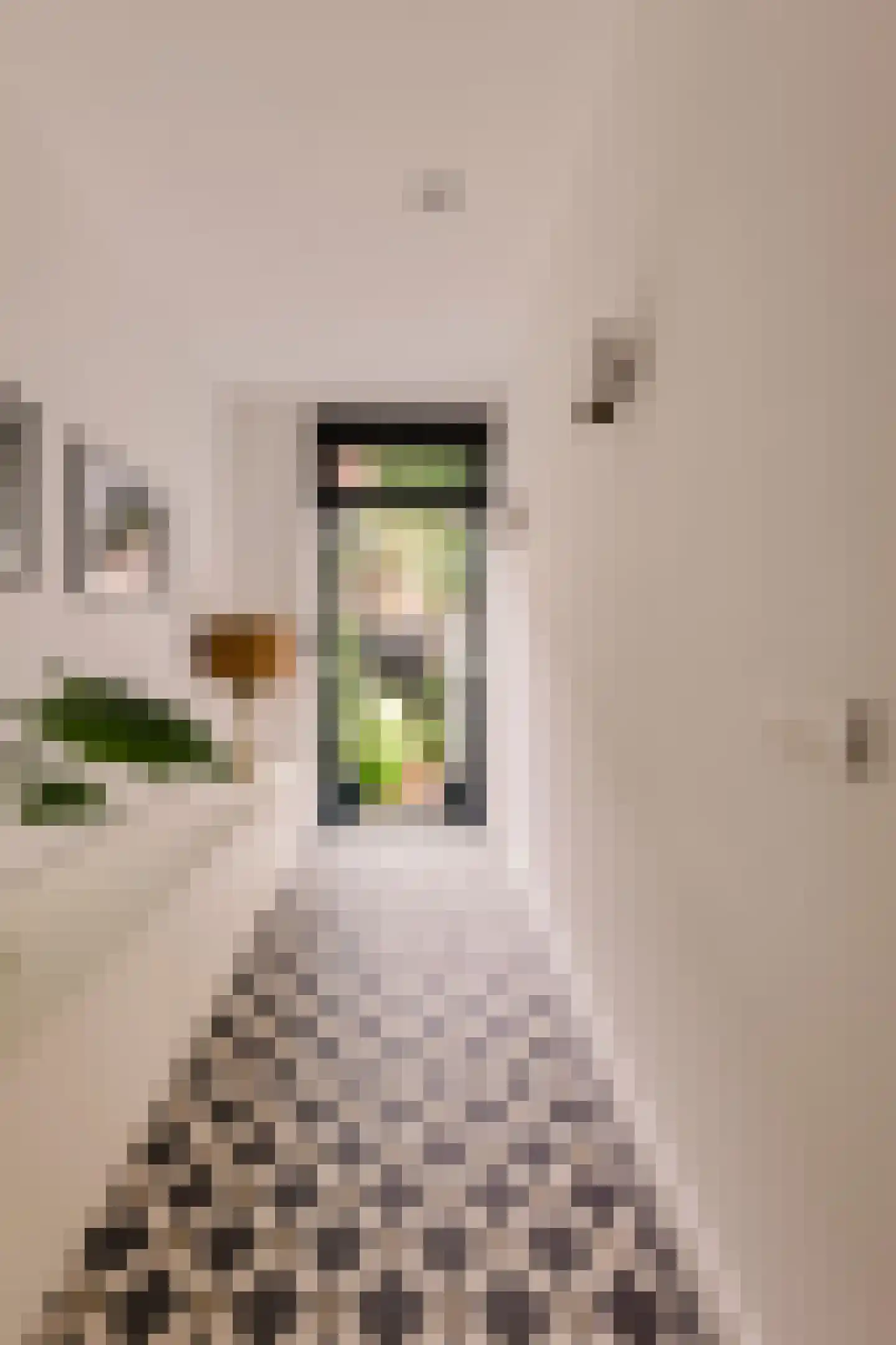 Eerste Helmersstraat 143 H Amsterdam thumbnail 47