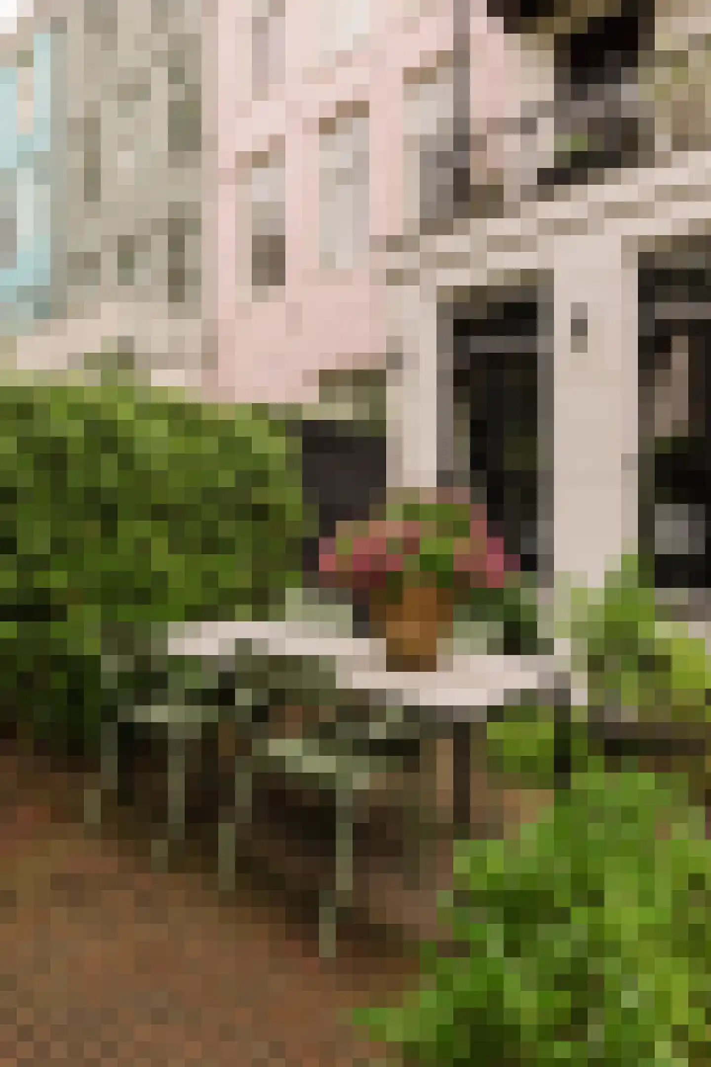 Eerste Helmersstraat 143 H Amsterdam thumbnail 51