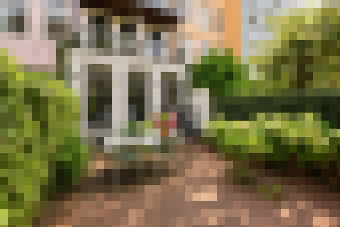 Eerste Helmersstraat 143 H Amsterdam thumbnail 52